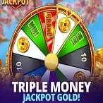 Triple Money Jackpot™ Gold! game thumbnail